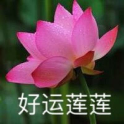 北京“荷为诗意”，圆明园第二十九届荷花节开幕